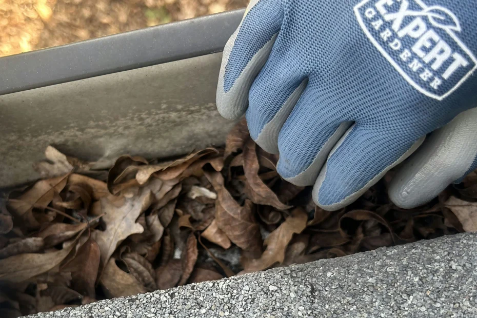 Gutter Cleaning Little Mountain