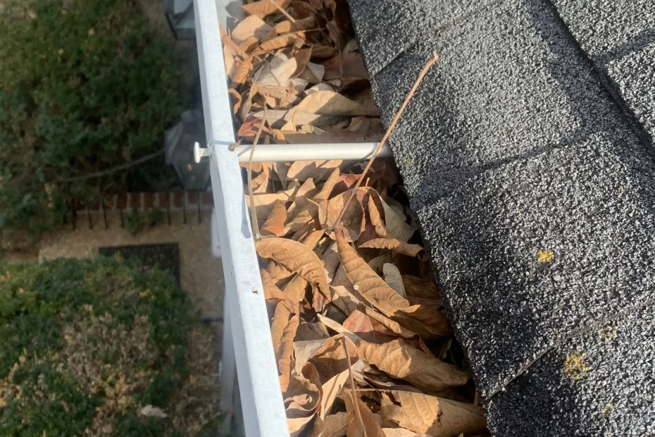 Gutter Cleaning Little Mountain