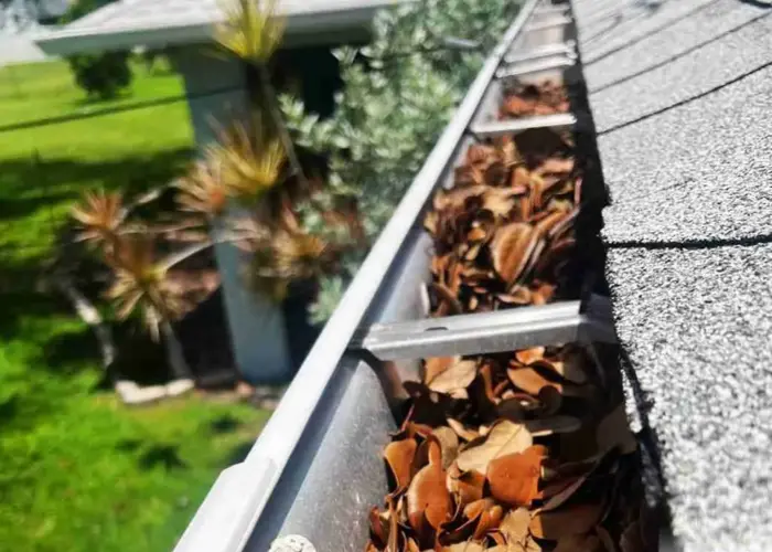 Gutter Cleaning Little Mountain home page